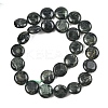 Natural Kambaba Jasper Beads Strands G-L648-B12-15mm-4