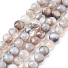 Natural Botswana Agate Beads Strands G-C179-A18-02-2