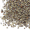 Plated Glass Seed Beads X-SEED-S016-05-3