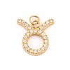316 Stainless Steel Micro Pave Cubic Zirconia Pendants LS-STAS-K284-01C-G-1