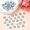 Preciosa® MAXIMA Crystal No Hotfix Flatback Stones Y-PRC-NSS6-31110-200-2