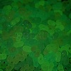 Luminous Transparent Acrylic Beads LACR-D009-01J-3
