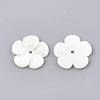 Freshwater Shell Beads SHEL-S274-08-2