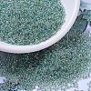 MIYUKI Round Rocailles Beads X-SEED-G007-RR0277-1