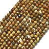 Natural Picture Jasper Beads Strands G-A260-A47-01-2
