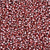 8/0 Glass Seed Beads SEED-S006-32-3
