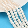 Natural Cultured Freshwater Pearl Beads Strands PEAR-I007-07X-10A-1
