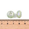 Imitation Jade Glass European Beads GPDL-N004-B14mm-A02-3