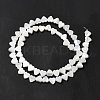 Natural Trochid Shell/Trochus Shell Beads Strands BSHE-E026-19-3