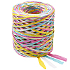 Segment Dyed Raffia Paper Cords for DIY Craft OCOR-WH20020-27C-1