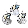 Natural Paua Shell & Black Lip Shell & Yellow Shell Pendants KK-C135-08B-1