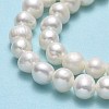 Natural Cultured Freshwater Pearl Beads Strands PEAR-F018-17E-01-4