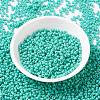 MIYUKI Round Rocailles Beads SEED-X0055-RR4475-2