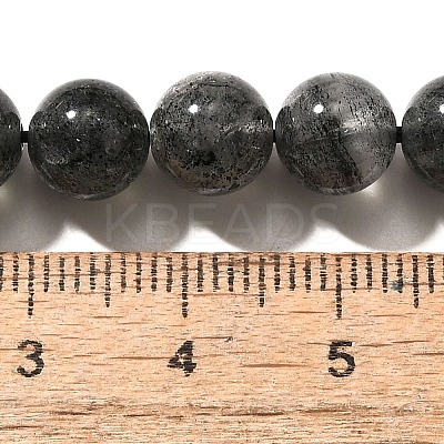 Natural Biotite Beads Strands G-F784-A03-03-1