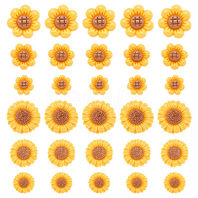 36Pcs 6 Styles Opaque Resin Cabochons RESI-TA0002-96-1