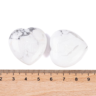 Natural Howlite Healing Stones G-G020-01-01-1