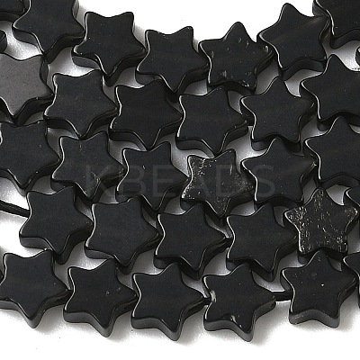 Natural Obsidian Beads Strands G-F817-A04-01-1