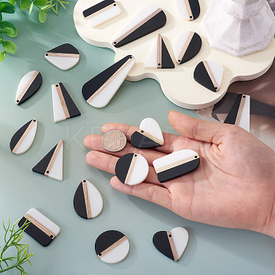 20Pcs 10 Styles Resin & Natural Wood Pendants RESI-TA0004-48-1