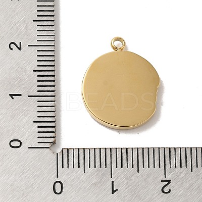 304 Stainless Steel Pendants STAS-B074-08G-10-1