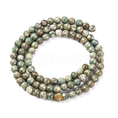 Natural Maifanite/Maifan Stone Beads Strands G-P451-01C-E-1