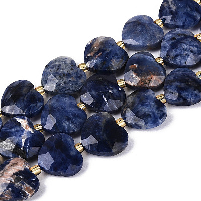 Natural Sodalite Beads Strands G-P592-B08-01-1