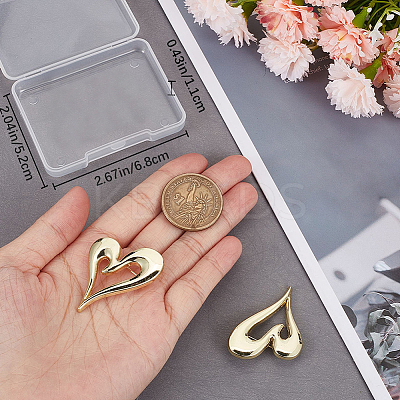 2Pcs Alloy Heart Brooch Pin JEWB-CP0001-60-1