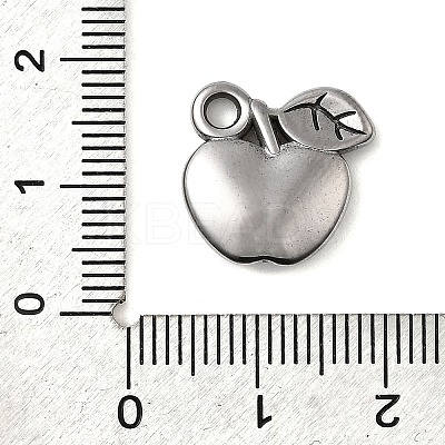304 Stainless Steel Pendants STAS-B103-01E-P-1