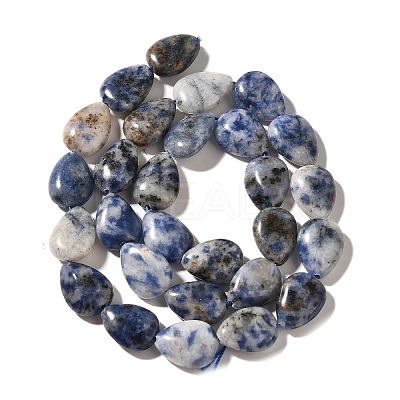 Natural Blue Spot Jasper Beads Strands G-I377-A12-1