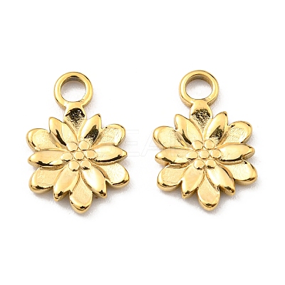304 Stainless Steel Charm LS-STAS-R124-03G-1
