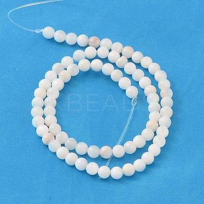 Natural Shell Beads Strands X-PRS001Y-1