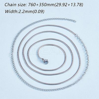 Simple Long Chain Necklace Stainless Steel Sweater Necklace Adjustable Chain Necklace Bold Snake Chain Necklace Trendy Statement Necklace Neck Jewelry for Women JN1102A-1