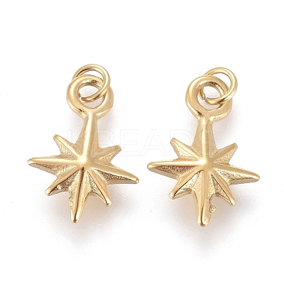 Ion Plating(IP) 304 Stainless Steel Charms STAS-I164-020A-1