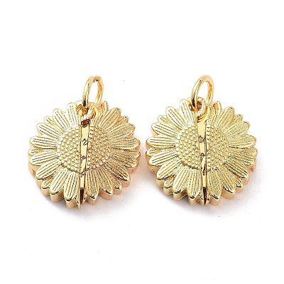 Brass Micro Pave Clear Cubic Zirconia Openable Pendants LS-KK-D004-14G-1