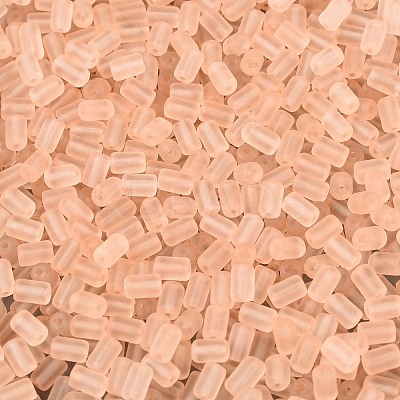 FGB Frosted Transparent Glass Seed Beads X-SEED-N013-05A-03-1