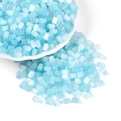 Drawbench Style Glass Seed Beads SEED-N008-10F-1