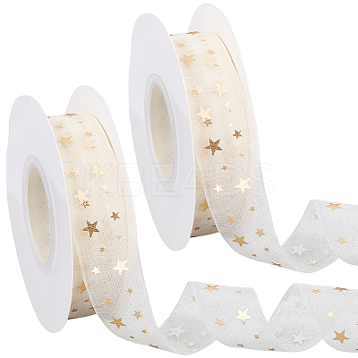 Polyester Ribbon OCOR-CY0003-69-1