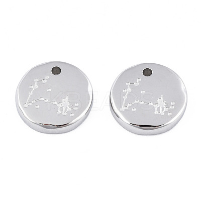 Non-Tarnish 316 Surgical Stainless Steel Charms STAS-S116-418L-P-1