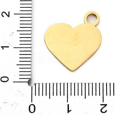 304 Stainless Steel Pendants LS-STAS-M117-01B-G-1