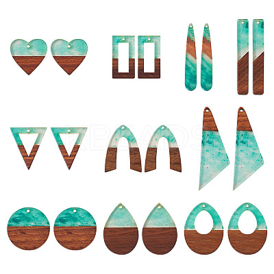 20Pcs 10 Styles Transparent Resin & Walnut Wood Big Pendants RESI-TA0002-99A-1