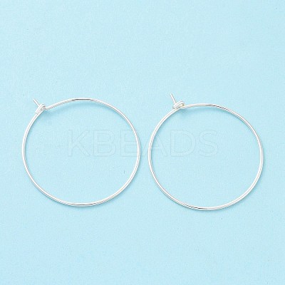 925 Sterling Silver Hoop Earring Findings STER-D035-24S-1