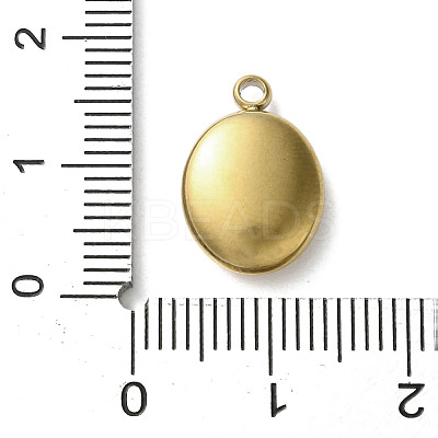 304 Stainless Steel Acrylic Pendants STAS-M091-02E-G-1