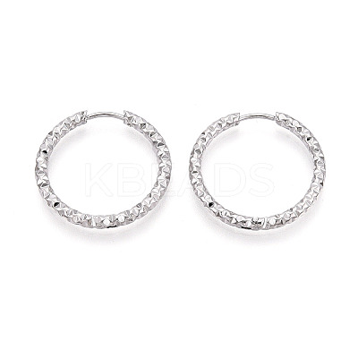 304 Stainless Steel Hoop Earrings STAS-T074-19P-1