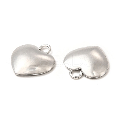 Non-Tarnish 304 Stainless Steel Charms LS-STAS-A070-30P-1