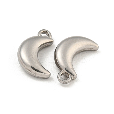 Non-Tarnish 304 Stainless Steel Charms STAS-I307-537P-1