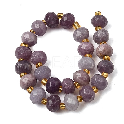 Natural Lepidolite Beads Strands G-D105-B08-1