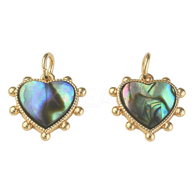 Synthetic Abalone Shell/Paua Shell Charms KK-N233-216-1