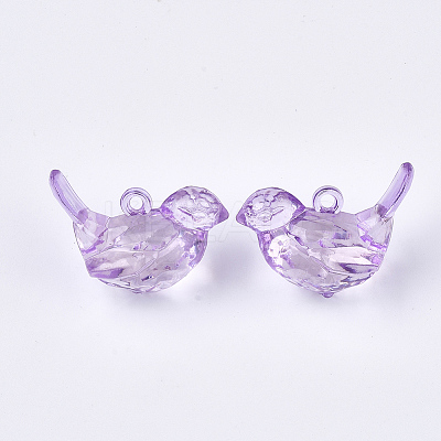 Transparent Acrylic Pendants X-TACR-S133-028-1
