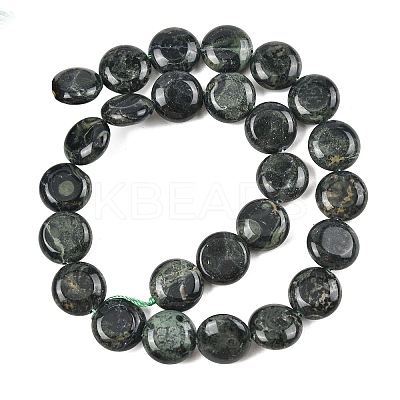 Natural Kambaba Jasper Beads Strands G-L648-B12-15mm-1