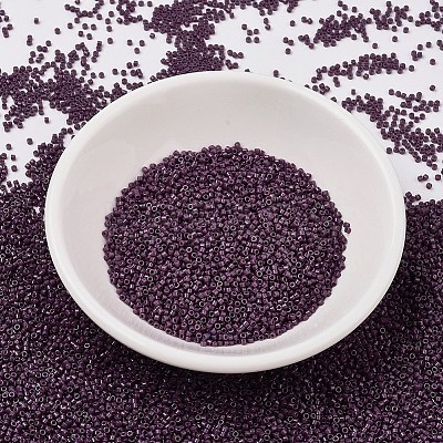 MIYUKI Delica Beads LS-X-SEED-J020-DB2360-1