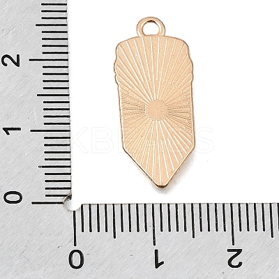 Alloy Enamel Pendants AL-CBA7D73-01KCG-1